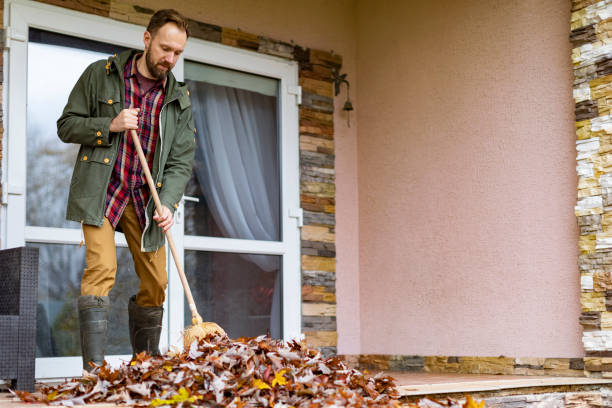 Best Professional Junk Removal  in El Verano, CA